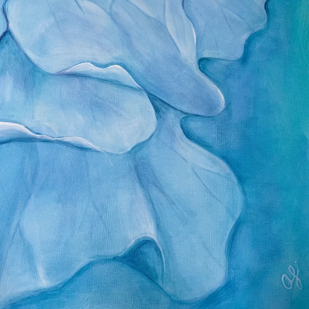 Celeste - Image 4